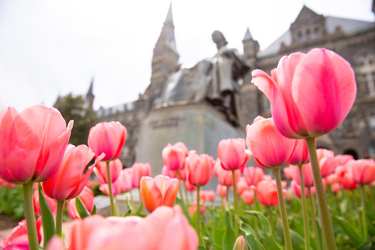 Research | Department of Computer Science | Georgetown University