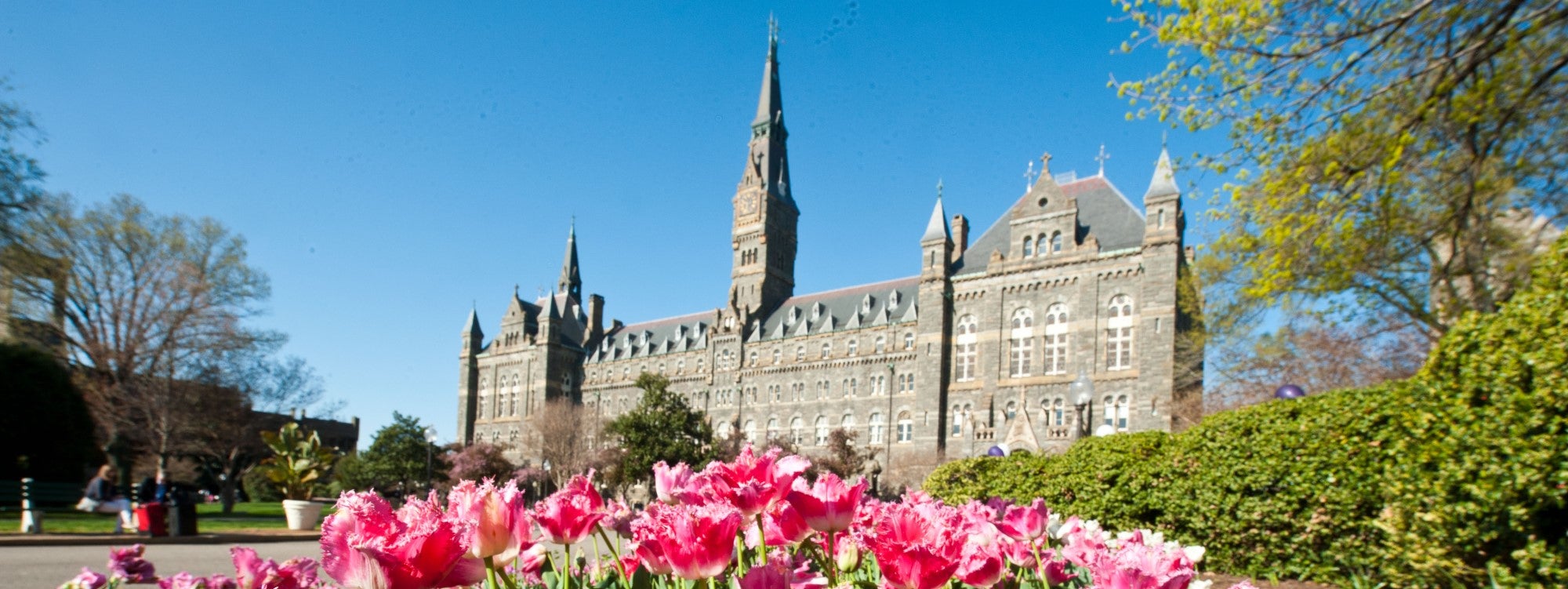 Undergraduate Programs | Department of Computer Science | Georgetown  University