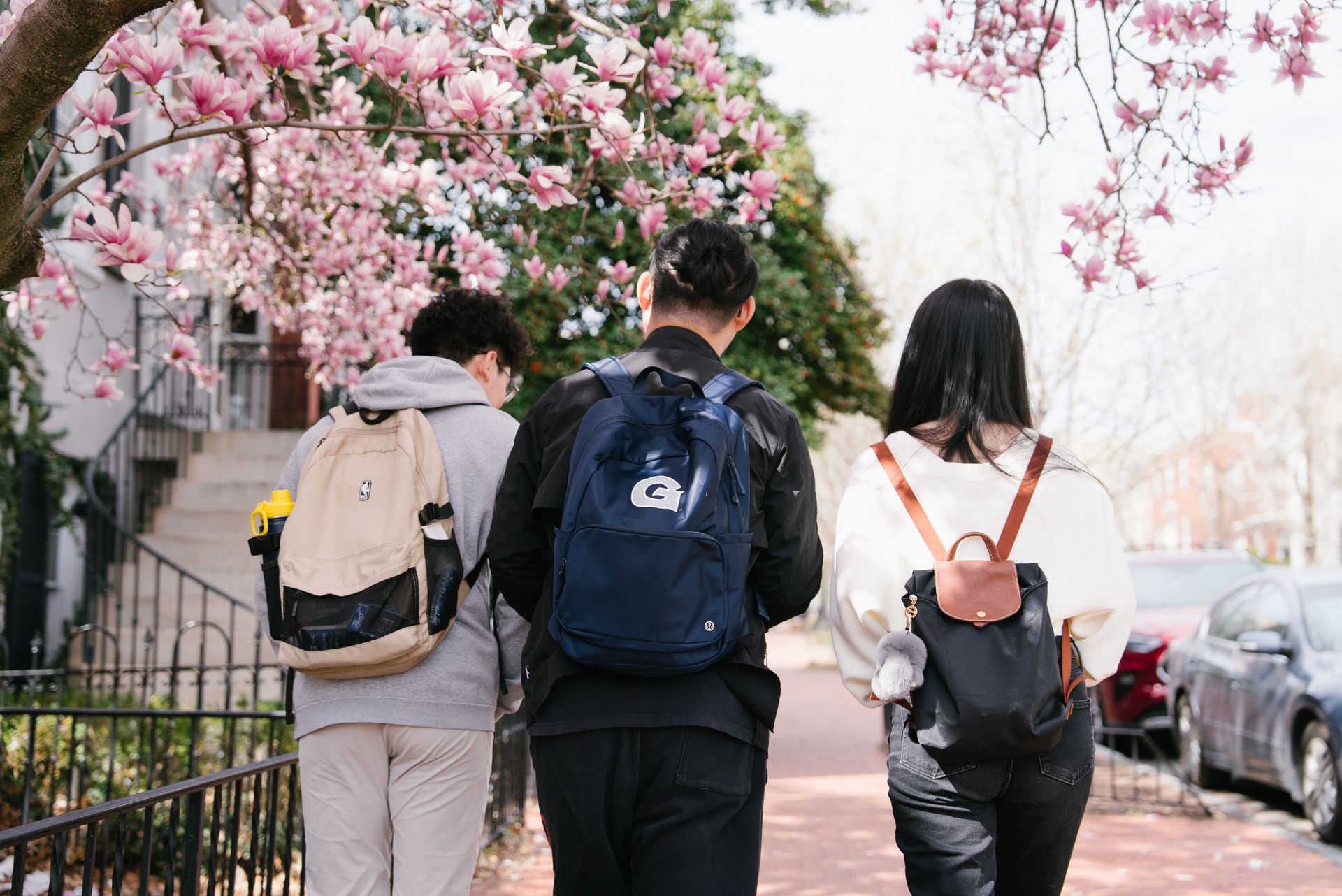 Three students walking down the street in Georgetown under cherry blossom trees.